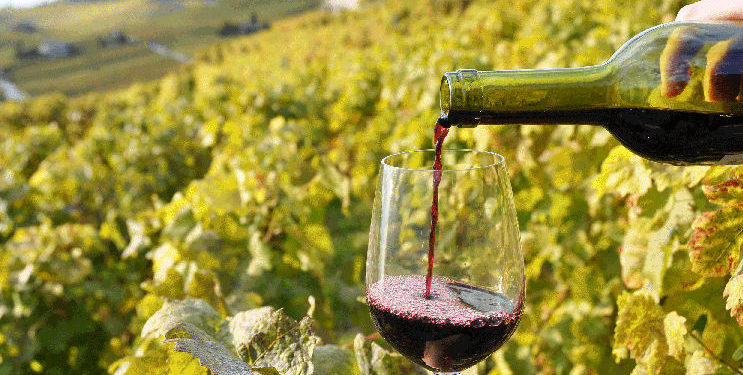 „Vinul nostru cucerește lumea”: Care sunt țările în care moldovenii exportă cel mai mult vin