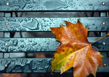 Какой будет погода на следующей неделе. Прогноз синоптиков