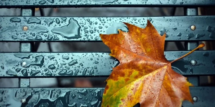 Какой будет погода на следующей неделе. Прогноз синоптиков