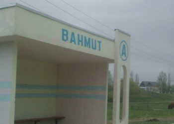 Inspectorii de mediu, în căutarea unor indivizi care au împușcat un cerb nobil, specie protejată de stat: Animalul a fost găsit mort lângă localitatea Bahmut din Călărași | VIDEO