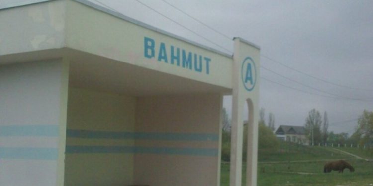 Inspectorii de mediu, în căutarea unor indivizi care au împușcat un cerb nobil, specie protejată de stat: Animalul a fost găsit mort lângă localitatea Bahmut din Călărași | VIDEO