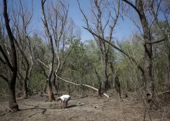 O nouă dronă a căzut în România la granița cu Ucraina. Ministerul român al Apărării a activat stare de pre-alertă aeriană | VIDEO