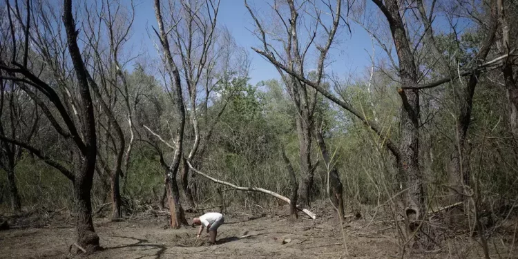 O nouă dronă a căzut în România la granița cu Ucraina. Ministerul român al Apărării a activat stare de pre-alertă aeriană | VIDEO