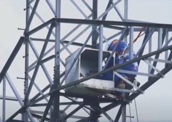 Pe teritoriul Moldovei vor fi instalate 370 de cuiburi speciale pentru păsări pe stâlpii electrici. Care este scopul urmărit | VIDEO