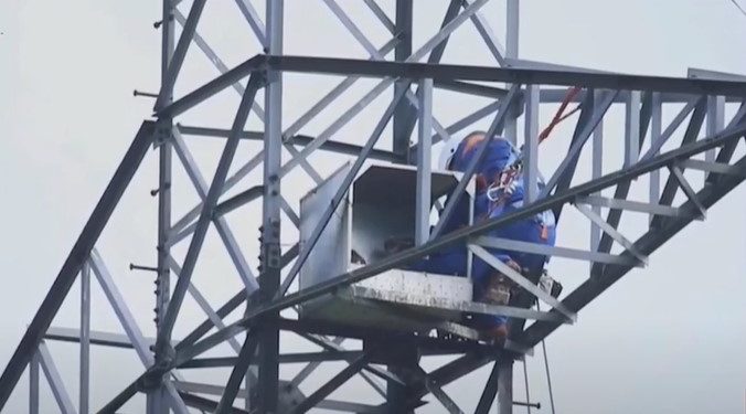 Pe teritoriul Moldovei vor fi instalate 370 de cuiburi speciale pentru păsări pe stâlpii electrici. Care este scopul urmărit | VIDEO