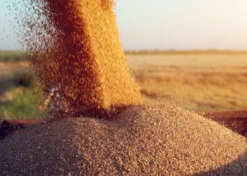 Молдова ограничила импорт зерна