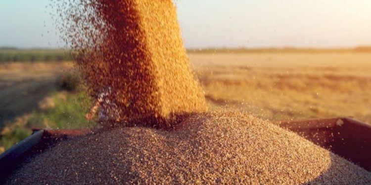 Молдова ограничила импорт зерна