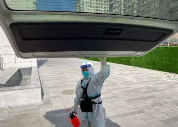 Раскрыто главное отличие нового штамма COVID-19 «пирола»