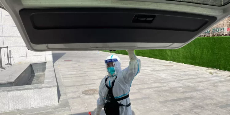 Раскрыто главное отличие нового штамма COVID-19 «пирола»