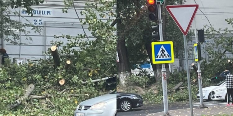 Chișinău: Un semafor din sectorul Buiucani, rupt în două. Cum a fost posibil