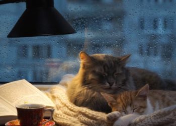 Pregătiți-vă hainele groase! Meteorologii prognozează răcirea vremii și chiar înghețuri pe parcursul nopții | VIDEO