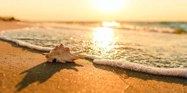 Marea Neagră are 20 grade Celsius în octombrie, cea mai mare temperatură din ultimii 40 de ani | VIDEO