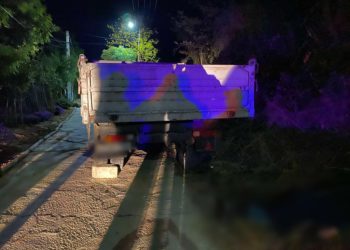 Ialoveni: Un bărbat a fost călcat pe cap de roata unui camion