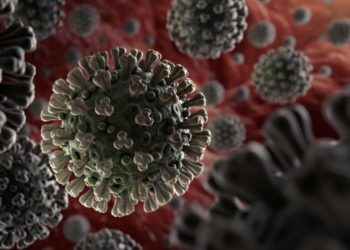 В мире распространяется новый штамм коронавируса “Пирола”: ученые рассказали о симптомах