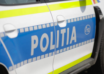 Peste 20 de câini, găsiţi morţi pe un drum forestier din România: Cadavrele nu prezentau semne de violenţă