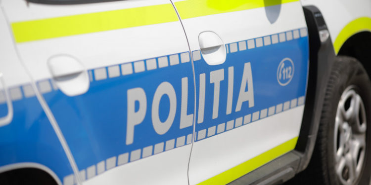 Peste 20 de câini, găsiţi morţi pe un drum forestier din România: Cadavrele nu prezentau semne de violenţă