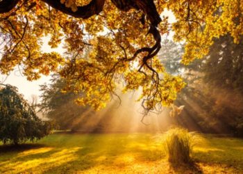 Немного похолодает: какой будет погода в Кишиневе в воскресенье?