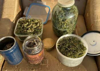 Fost medic psihiatru de la Penitenciarul nr. 16- Pruncul, suspectat de trafic cu droguri. La domiciliul acestuia a fost depistat un kilogram de cânepă.