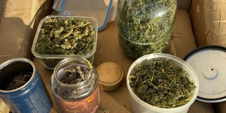 Fost medic psihiatru de la Penitenciarul nr. 16- Pruncul, suspectat de trafic cu droguri. La domiciliul acestuia a fost depistat un kilogram de cânepă.