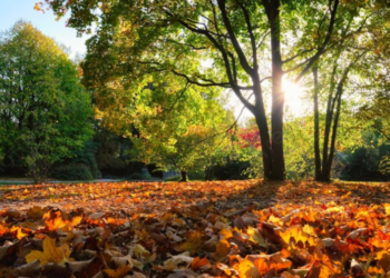 Все еще тепло: какой будет погода в Молдове в последний день недели?