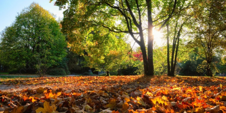 Все еще тепло: какой будет погода в Молдове в последний день недели?