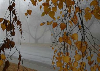 Meteorologii au emis cod galben de vânt puternic: Vremea se răcește chiar de luni