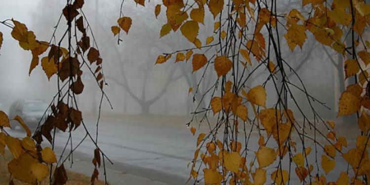 Meteorologii au emis cod galben de vânt puternic: Vremea se răcește chiar de luni