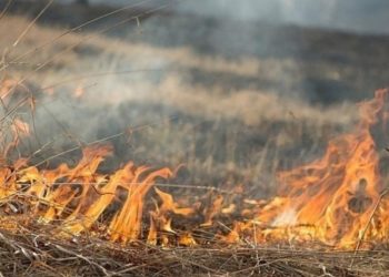 Желтый код: синоптики предупреждают о пожароопасности